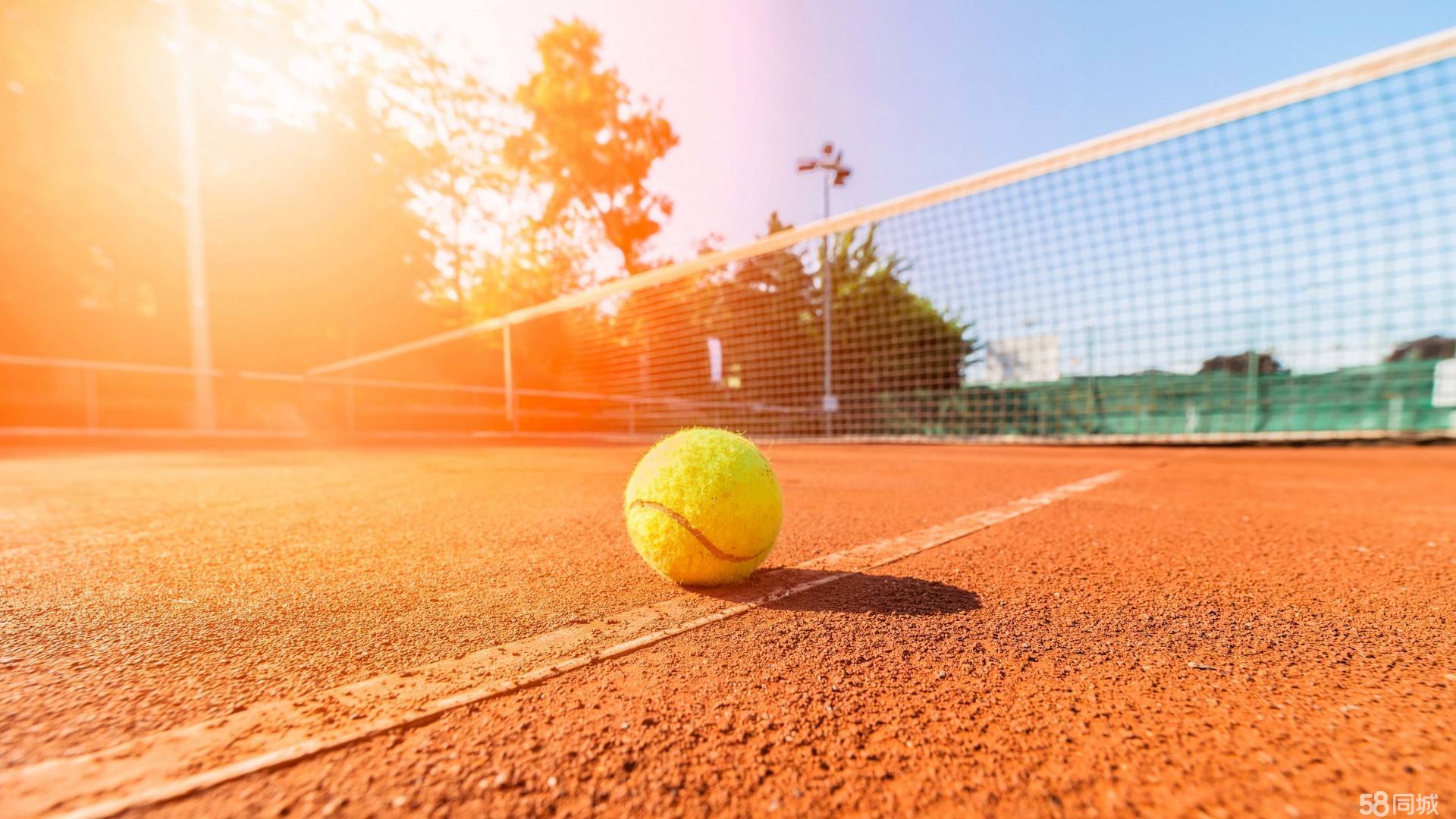 职业彻底割 职业彻底割