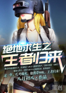 不仅限于数 不仅限于数